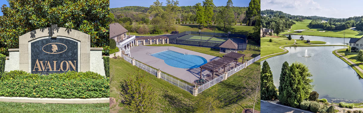 Avalon_Properties_for_Sale